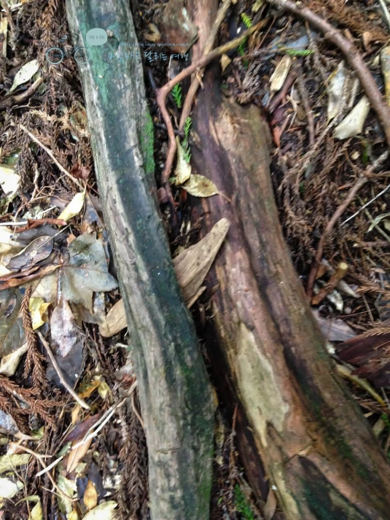 IMG_1443_wide1080.jpg?type=w773