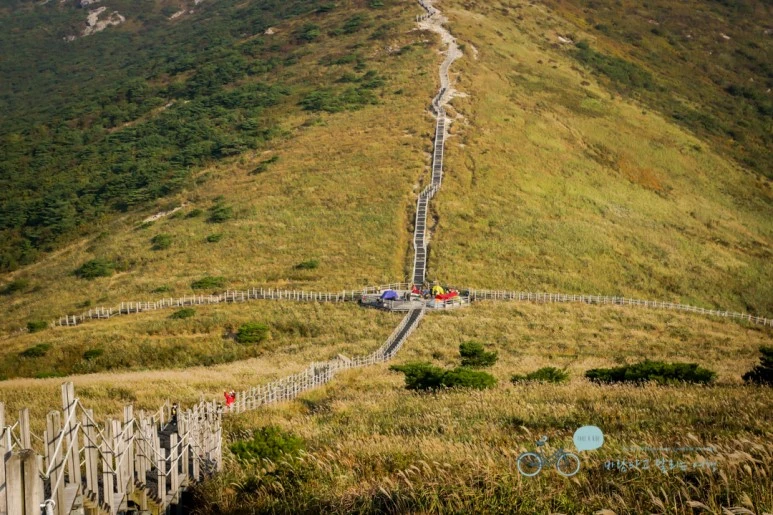 DSC04609_wide1080mark.jpg?type=w773