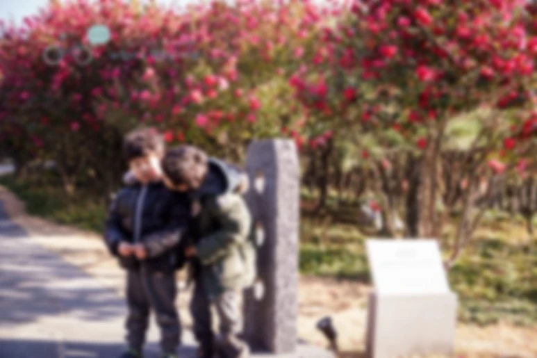 image_7747620651476869763854.jpg?type=w773