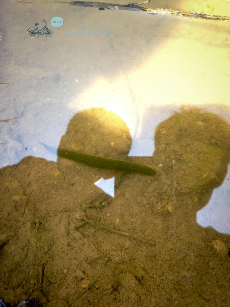 IMG_0570_Wide1080mark.jpg?type=w773