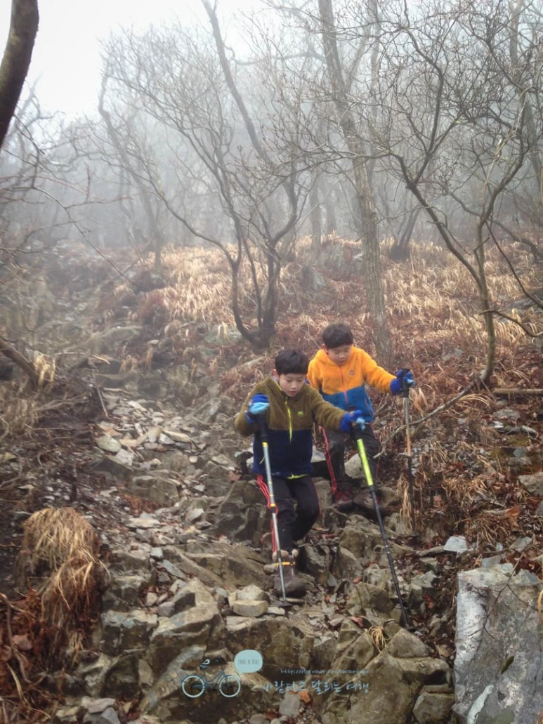 IMG_1513-_Wide1080mark.jpg?type=w773