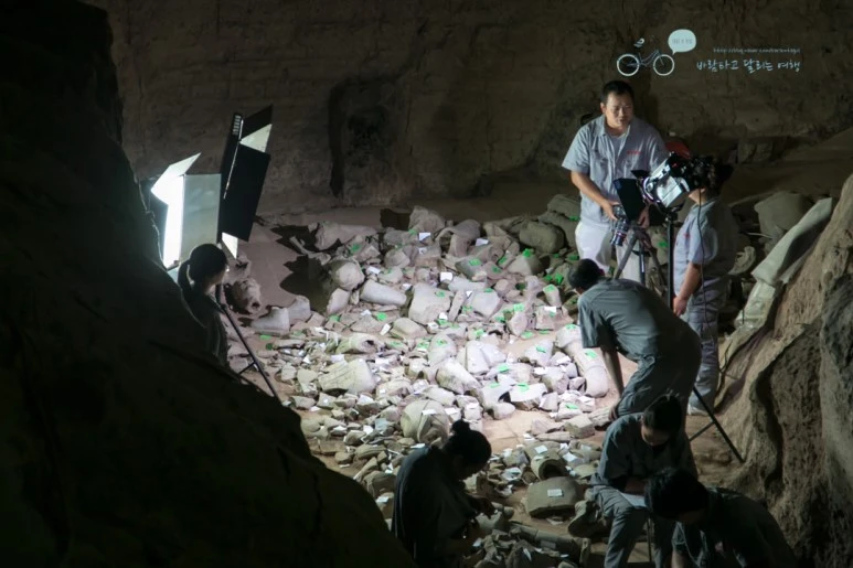 IMG_0141_Wide1080mark%EB%B0%94%EB%9E%8C.jpg?type=w773