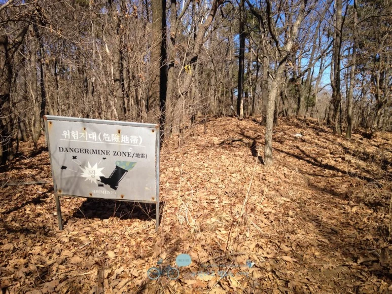 IMG_1462-_Wide1080mark.jpg?type=w773