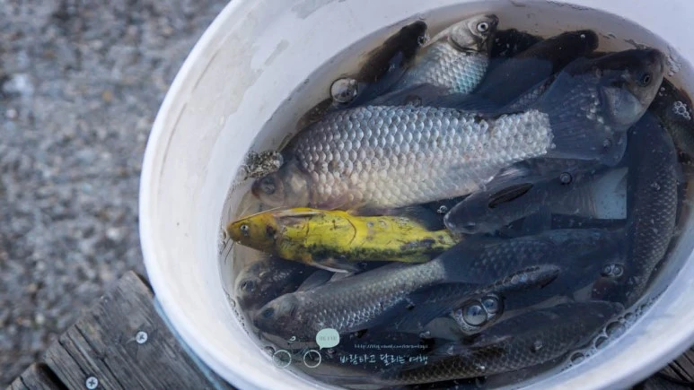 DSC04873_wide1080mark%EB%B0%94%EB%9E%8C.jpg?type=w773