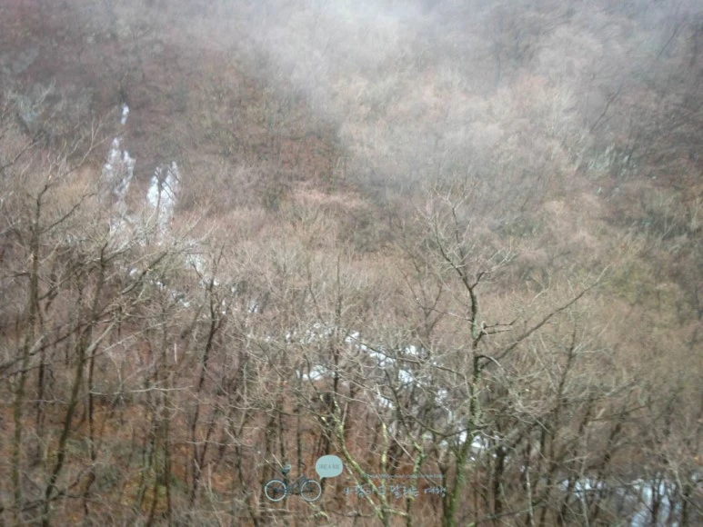 IMG_1515_%281%29-_Wide1080mark.jpg?type=w773