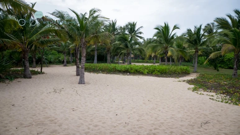 _1050685_wide1080mark.jpg?type=w773