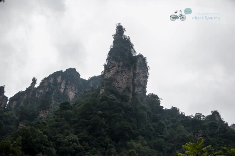 IMG_1094_Wide1080mark%EB%B0%94%EB%9E%8C.jpg?type=w773