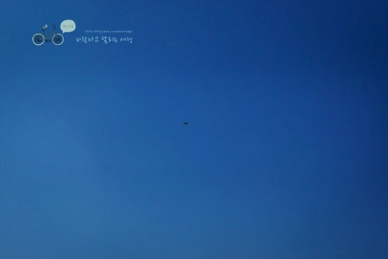 DSC04495_wide1080mark.jpg?type=w773