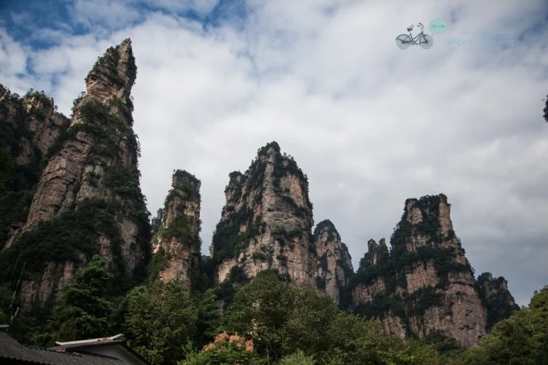 IMG_1436_Wide1080mark%EB%B0%94%EB%9E%8C.jpg?type=w773