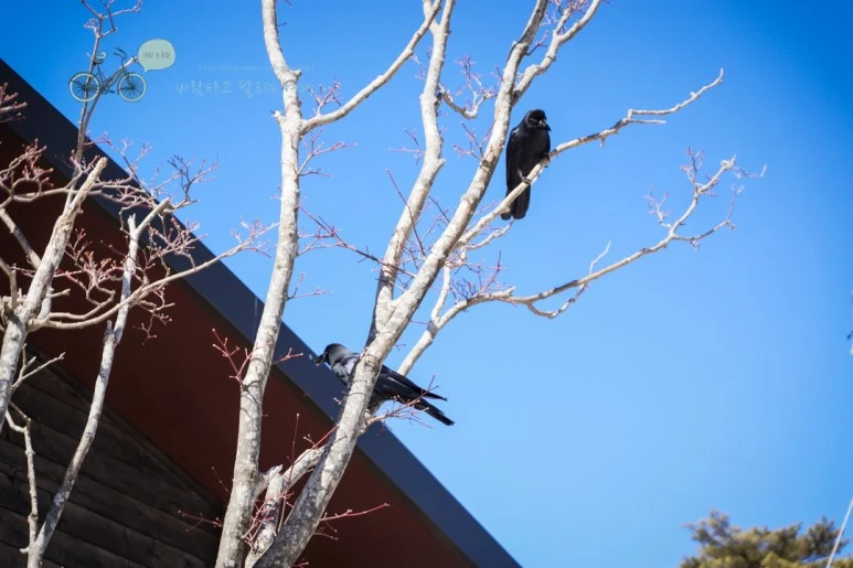 DSC00026_3.jpg?type=w773