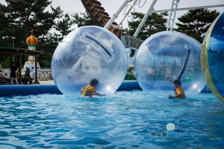 DSC00905_wide1080mark.jpg?type=w773