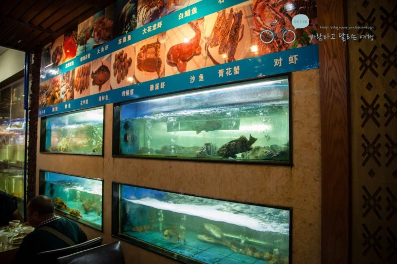 IMG_0914_wide1080%EB%B0%94%EB%9E%8Cmark.jpg?type=w773