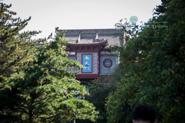 IMG_0259_Wide1080_mark%EB%B0%94%EB%9E%8C.jpg?type=w773