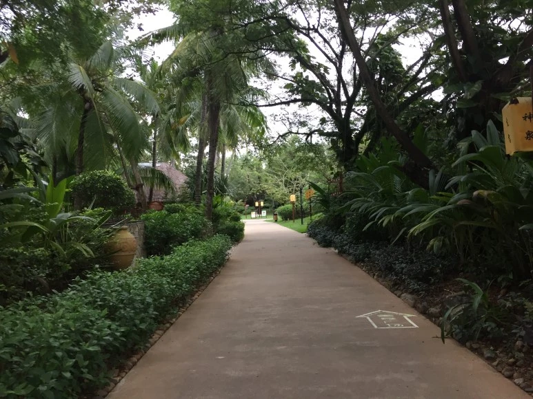 WechatIMG143.jpeg?type=w773