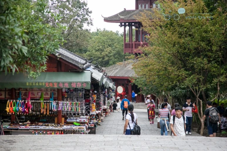 IMG_1195_Wide1080mark%EB%B0%94%EB%9E%8C.jpg?type=w773