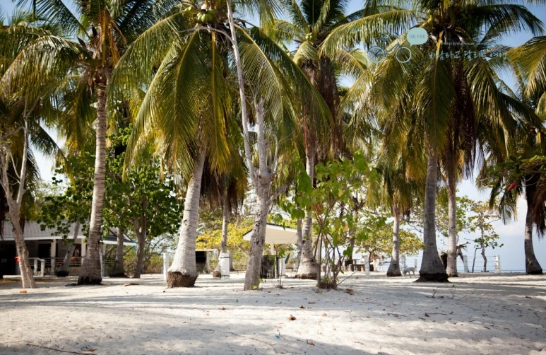 IMG_0338_Wide1080mark%EB%B0%94%EB%9E%8C%ED%83%80%EA%B3%A0.jpg?type=w773