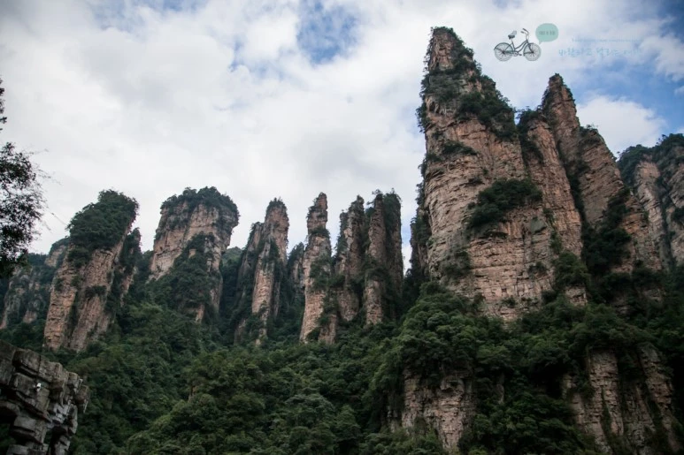 IMG_1355_Wide1080mark%EB%B0%94%EB%9E%8C.jpg?type=w773