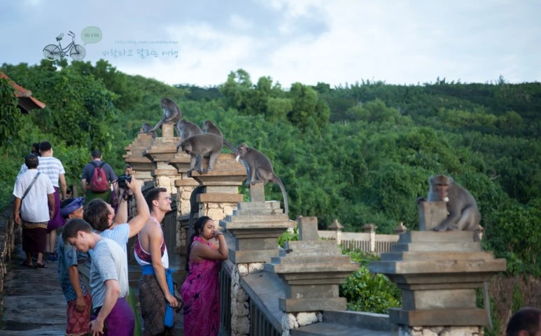 IMG_0635_Wide1080mark%EB%B0%94%EB%9E%8C%ED%83%80%EA%B3%A0.jpg?type=w773