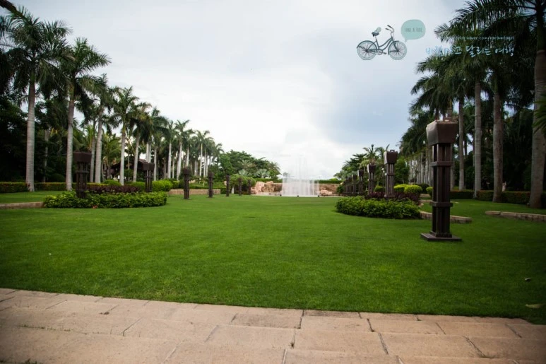 IMG_1756_wide1080%EB%B0%94%EB%9E%8Cmark.jpg?type=w773