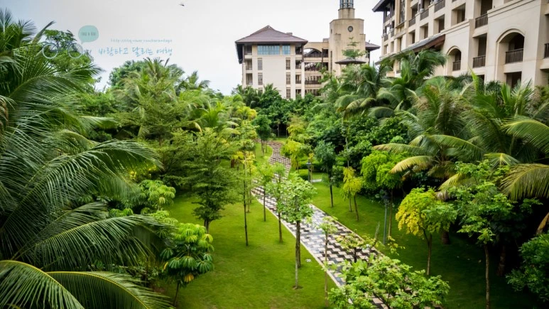 _1000639_wide1080_Wide1080mark_%EB%B0%94%EB%9E%8C.jpg?type=w773