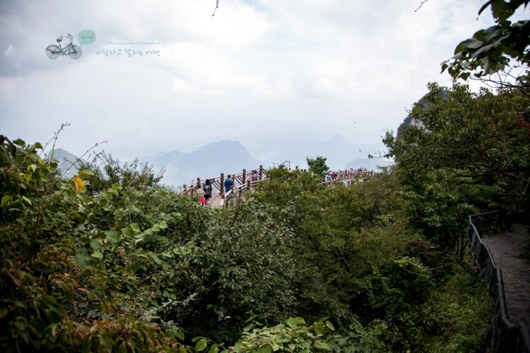 IMG_0398_Wide1080mark%EB%B0%94%EB%9E%8C.jpg?type=w773