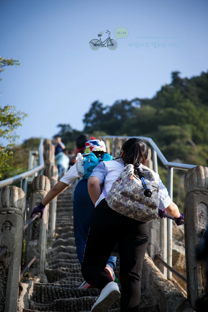 IMG_0380_Wide1080_mark%EB%B0%94%EB%9E%8C.jpg?type=w773