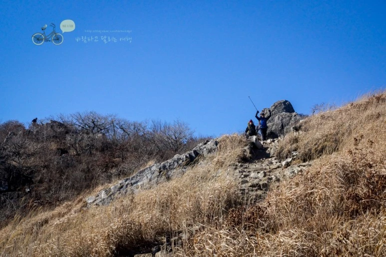 DSC04485_wide1080mark.jpg?type=w773