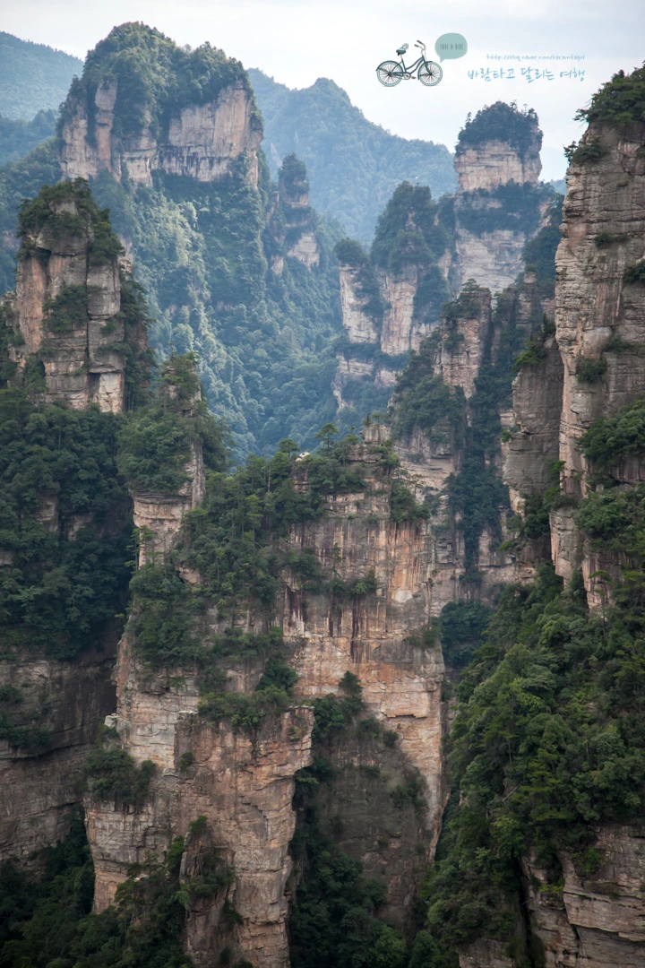 IMG_1318_Wide1080mark%EB%B0%94%EB%9E%8C.jpg?type=w773