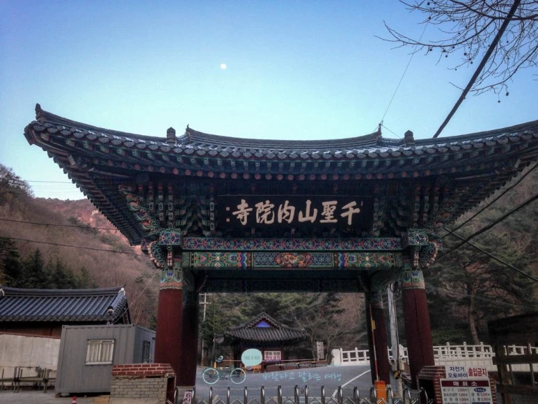 IMG_1862-_Wide1080mark.jpg?type=w773