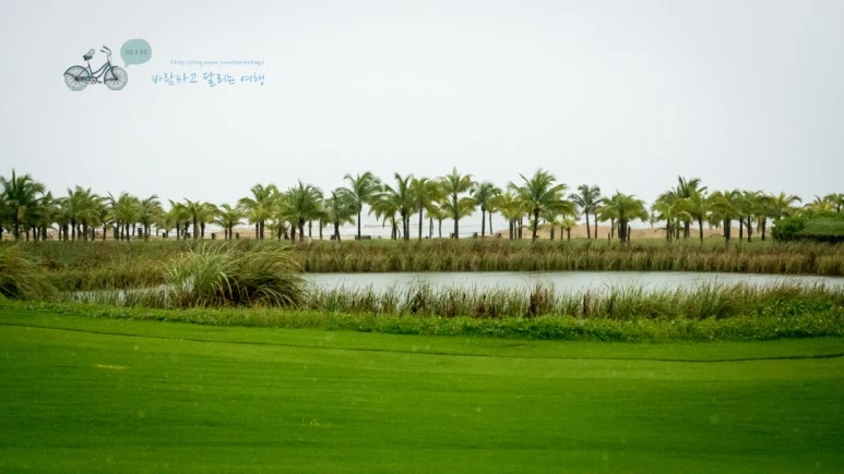 _1000216_wide1080_Wide1080mark_%EB%B0%94%EB%9E%8C.jpg?type=w773