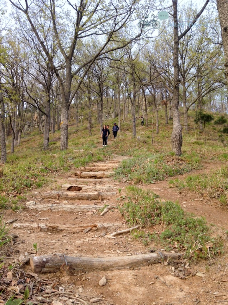 IMG_2091_Wide1080mark%EB%B0%94%EB%9E%8C.jpg?type=w773