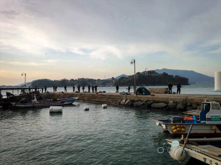 IMG_0958-_Wide1080mark%EB%B0%94%EB%9E%8C.jpg?type=w773