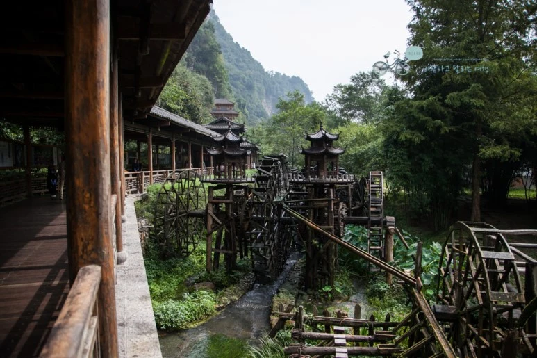 IMG_1097_Wide1080mark%EB%B0%94%EB%9E%8C.jpg?type=w773