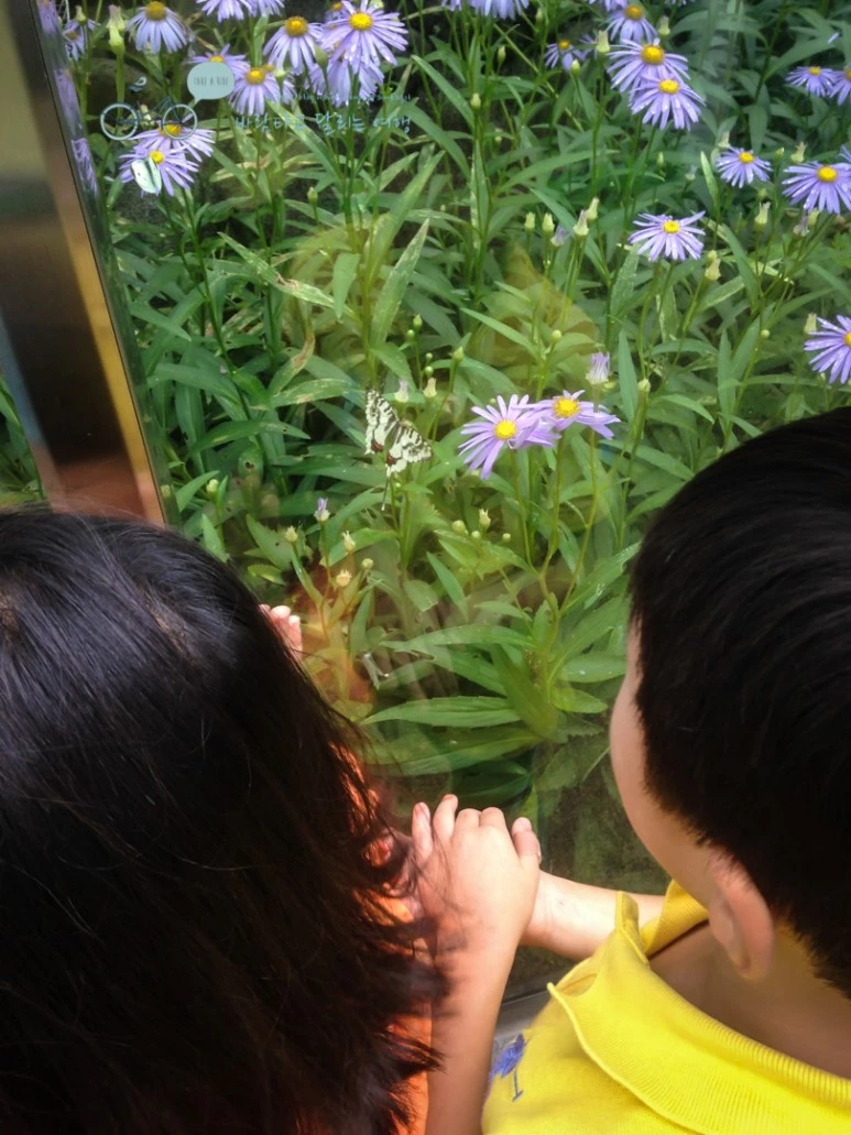 IMG_1798_wide1080mark.jpg?type=w773