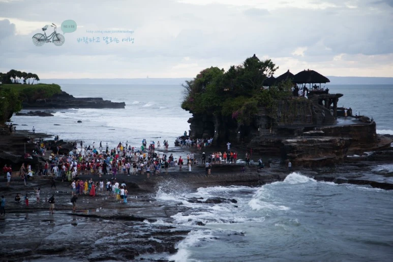 IMG_0428_Wide1080mark%EB%B0%94%EB%9E%8C%ED%83%80%EA%B3%A0-2.jpg?type=w773