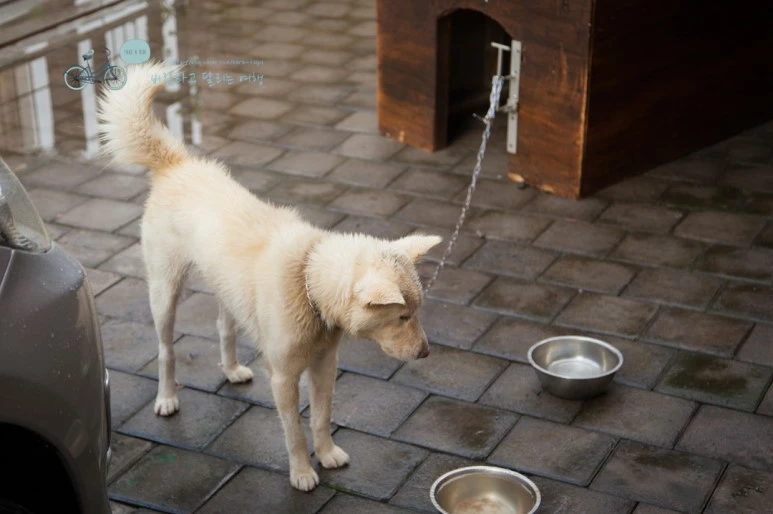 IMG_0052_Wide1080mark%EB%B0%94%EB%9E%8C%ED%83%80%EA%B3%A0-2.jpg?type=w773