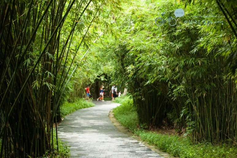 IMG_1476_wide1080%EB%B0%94%EB%9E%8Cmark.jpg?type=w773