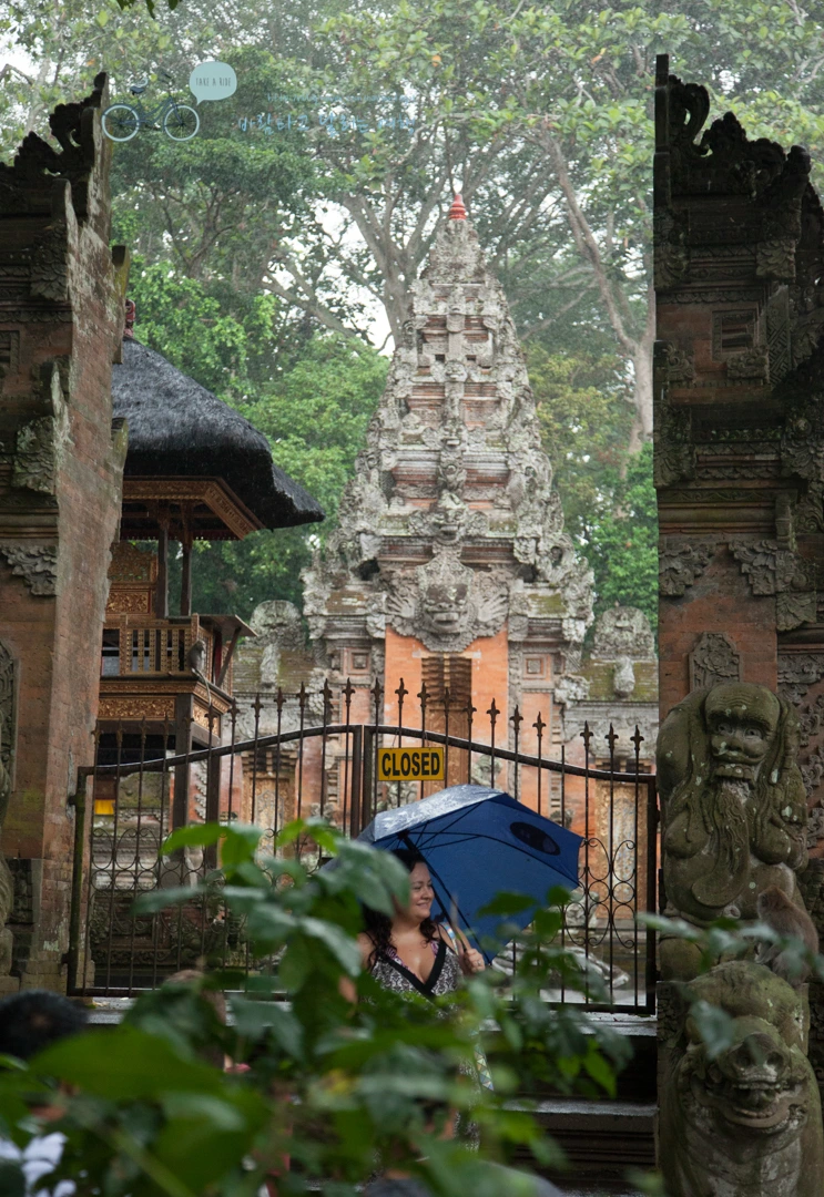 IMG_0179_Wide1080mark%EB%B0%94%EB%9E%8C%ED%83%80%EA%B3%A0-3.jpg?type=w773