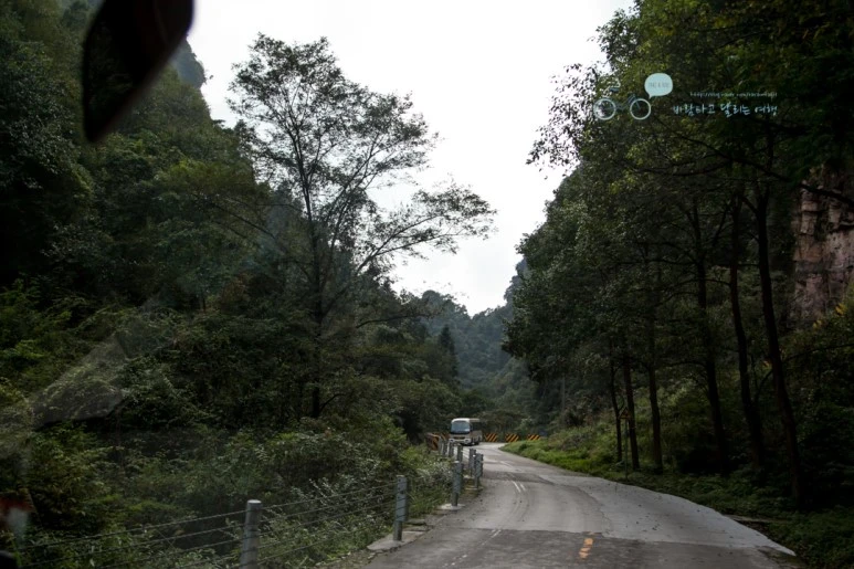 IMG_1420_Wide1080mark%EB%B0%94%EB%9E%8C.jpg?type=w773