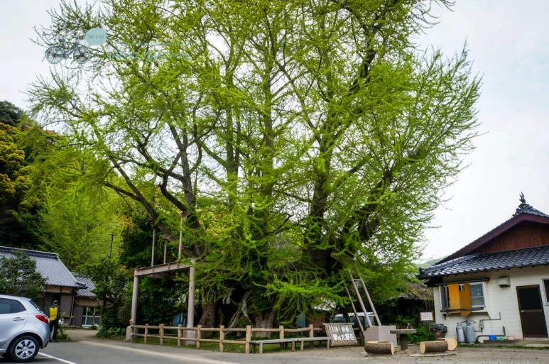 DSC08043_wide1080mark.jpg?type=w773