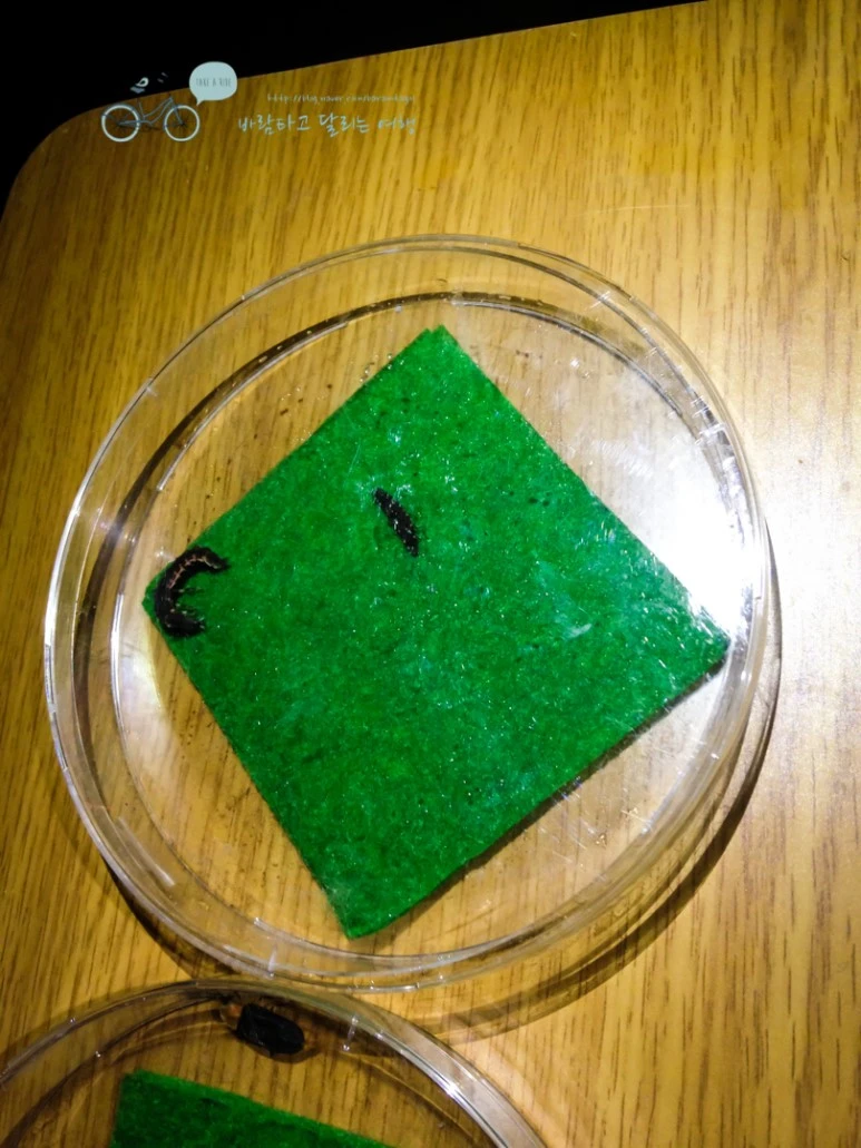 IMG_1661_wide1080mark.jpg?type=w773