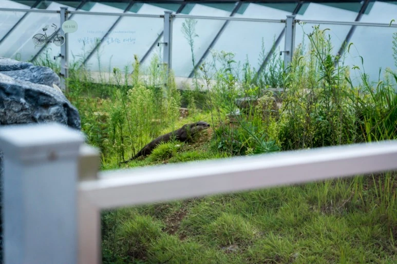 DSC03843_Wide1080.jpg?type=w773