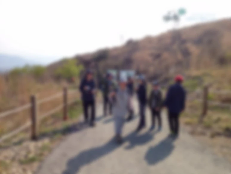 image_7542009811511309797563.jpg?type=w773