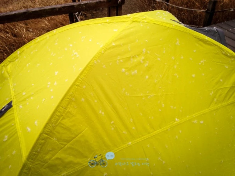 IMG_1950-_Wide1080mark.jpg?type=w773