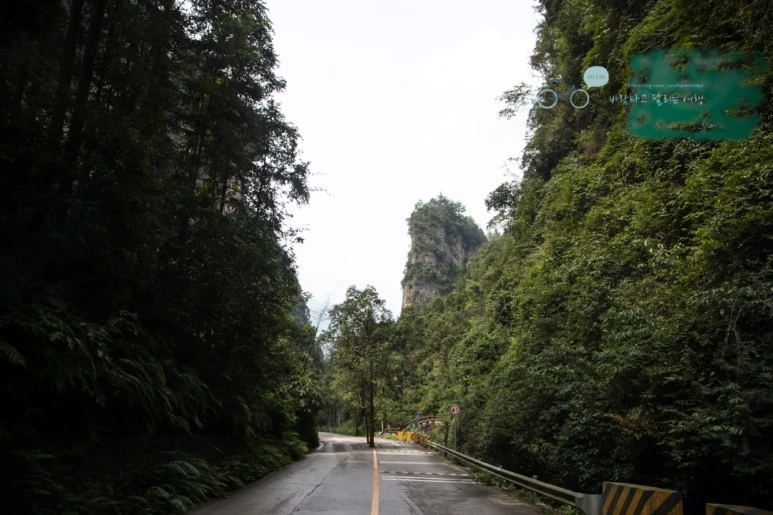 IMG_1428_Wide1080mark%EB%B0%94%EB%9E%8C.jpg?type=w773