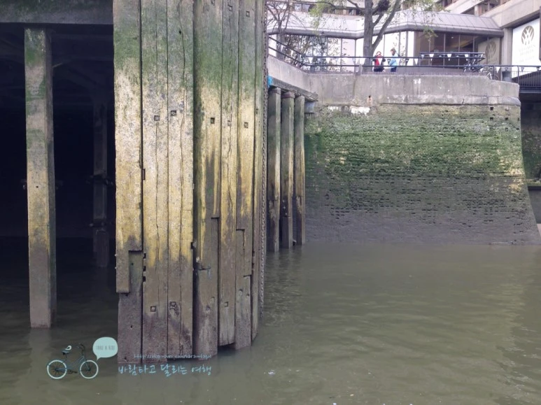 IMG_1743.jpg?type=w773