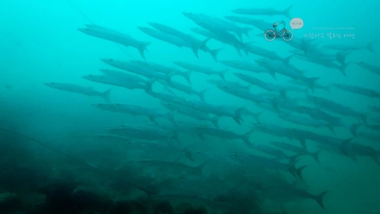 10_Wide1080mark%EB%B0%94%EB%9E%8C%ED%83%80%EA%B3%A0.jpg?type=w773