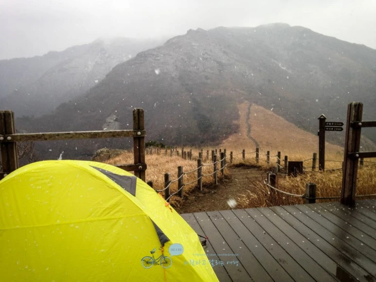 IMG_1949-_Wide1080mark.jpg?type=w773