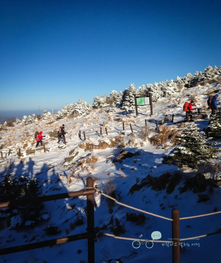 IMG_5345_%EB%B3%B4%EC%A0%95%EC%9B%90%EB%B3%B8_Wide1080_Watermark.jpg?type=w773