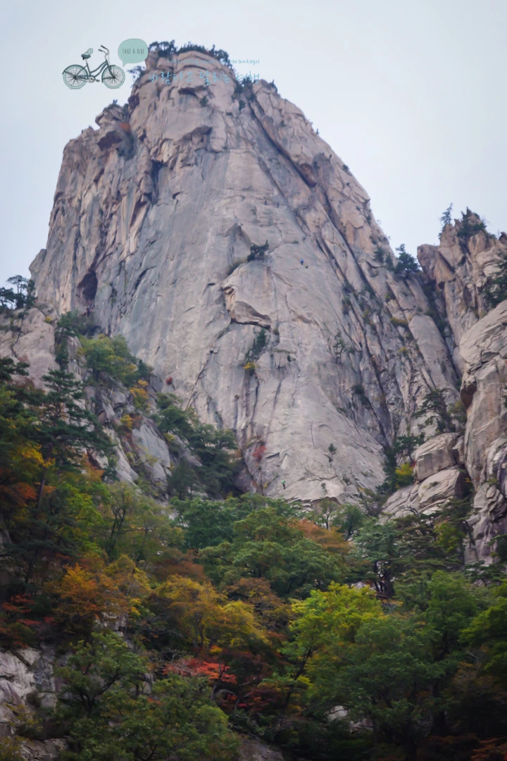 DSC05639_wide1080mark.jpg?type=w773